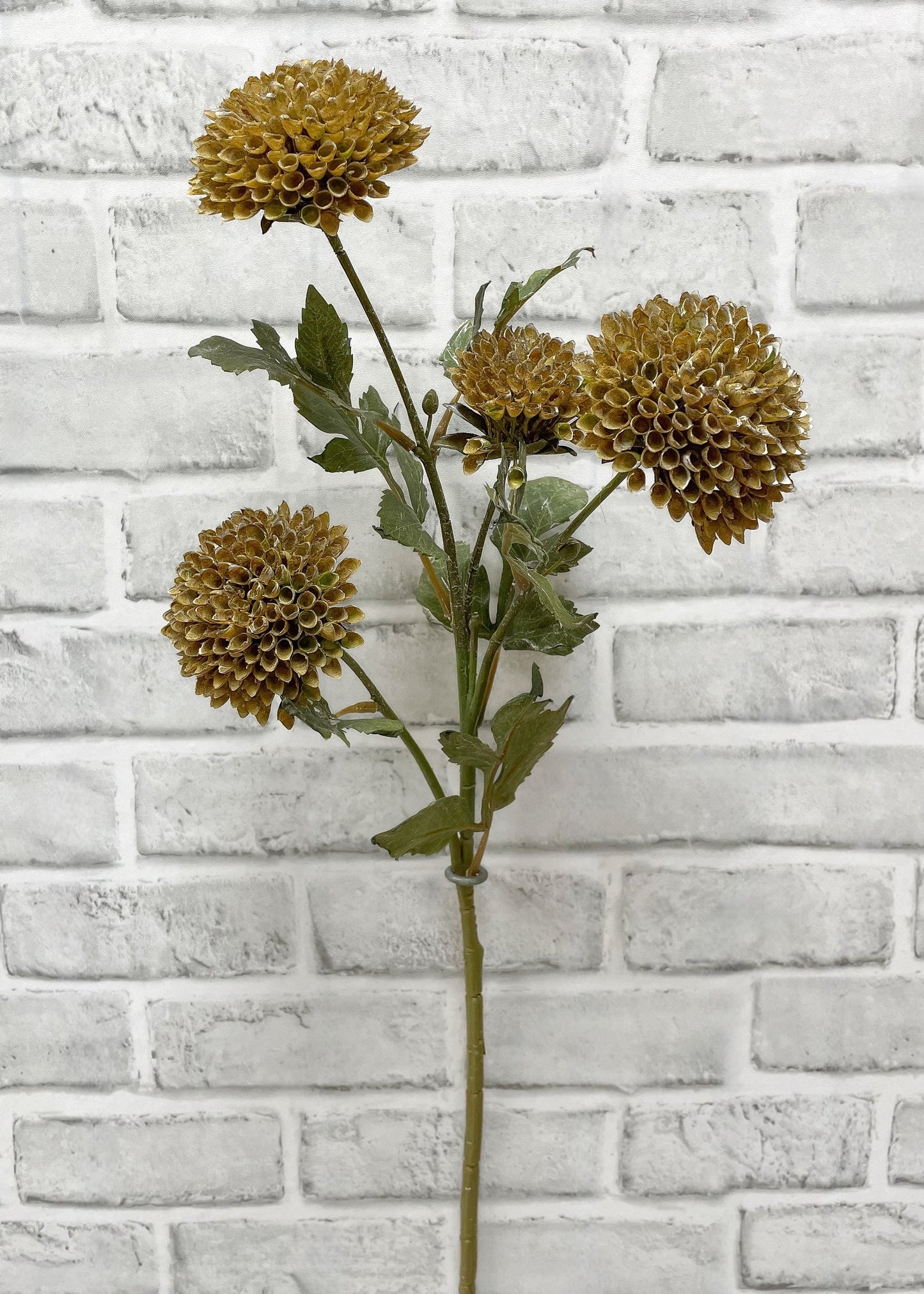Brown Green Scabious Spray 26"