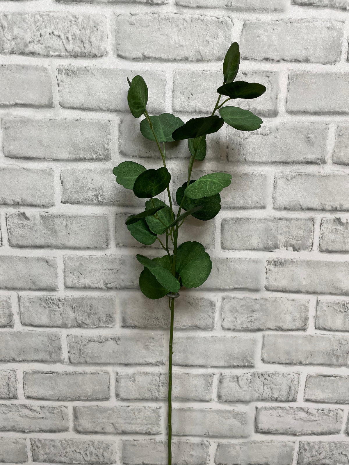 26.5" Fresh Touch Eucalyptus Spray