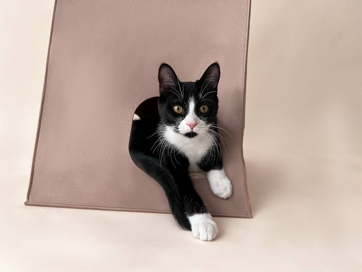 Minimalist Moka Felt Cat House