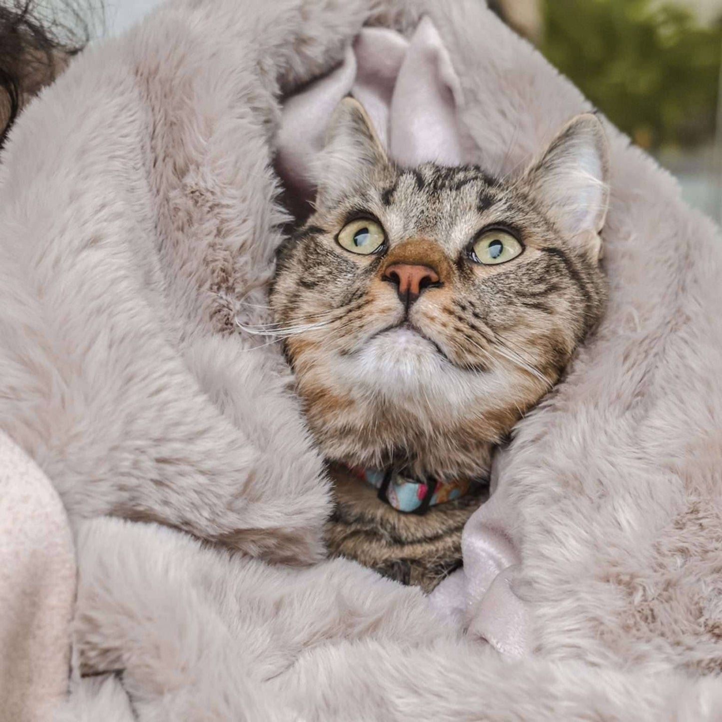 Pixie throw - Taupe