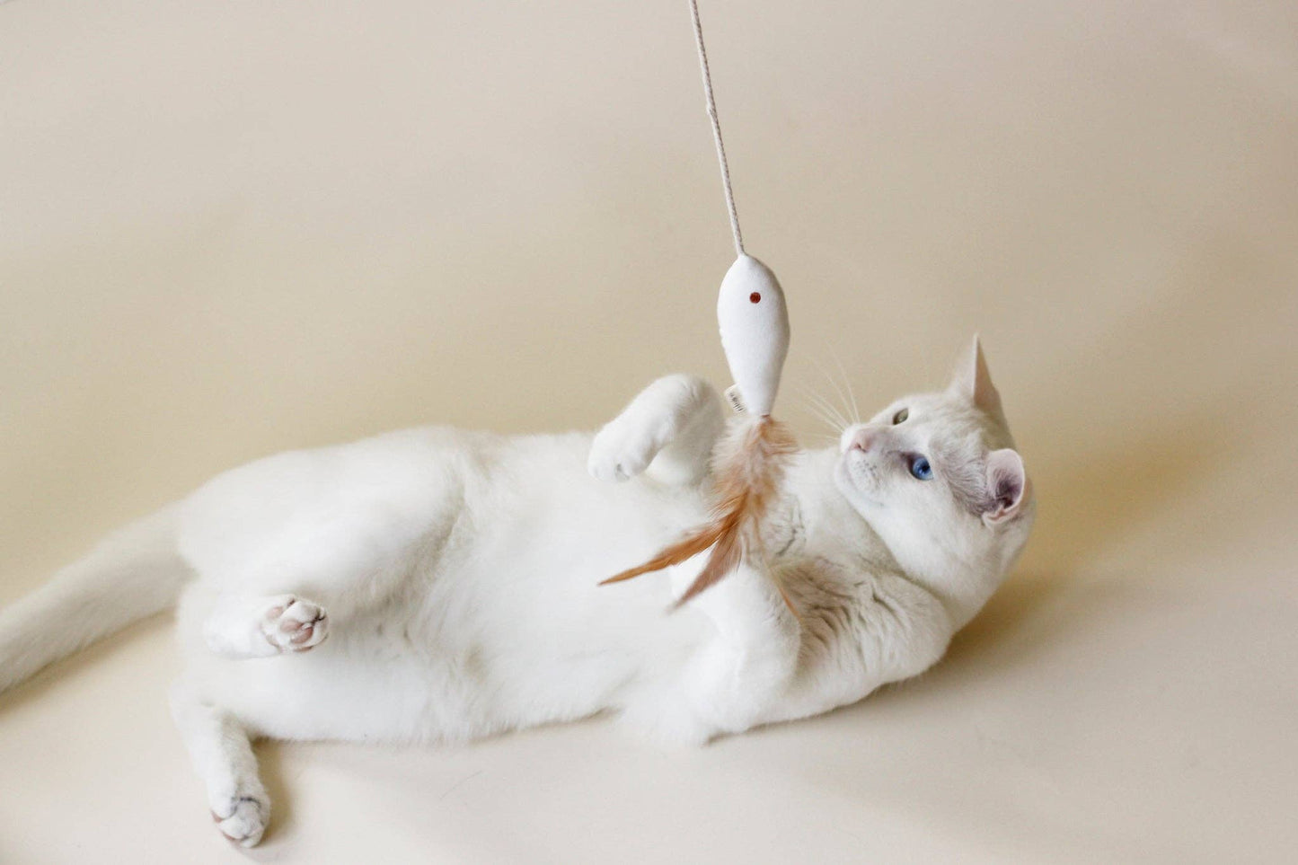 Cat Toy Bundle - Indoor Fishing