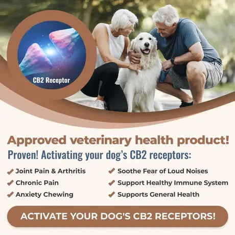 CB2 DOG-EASE