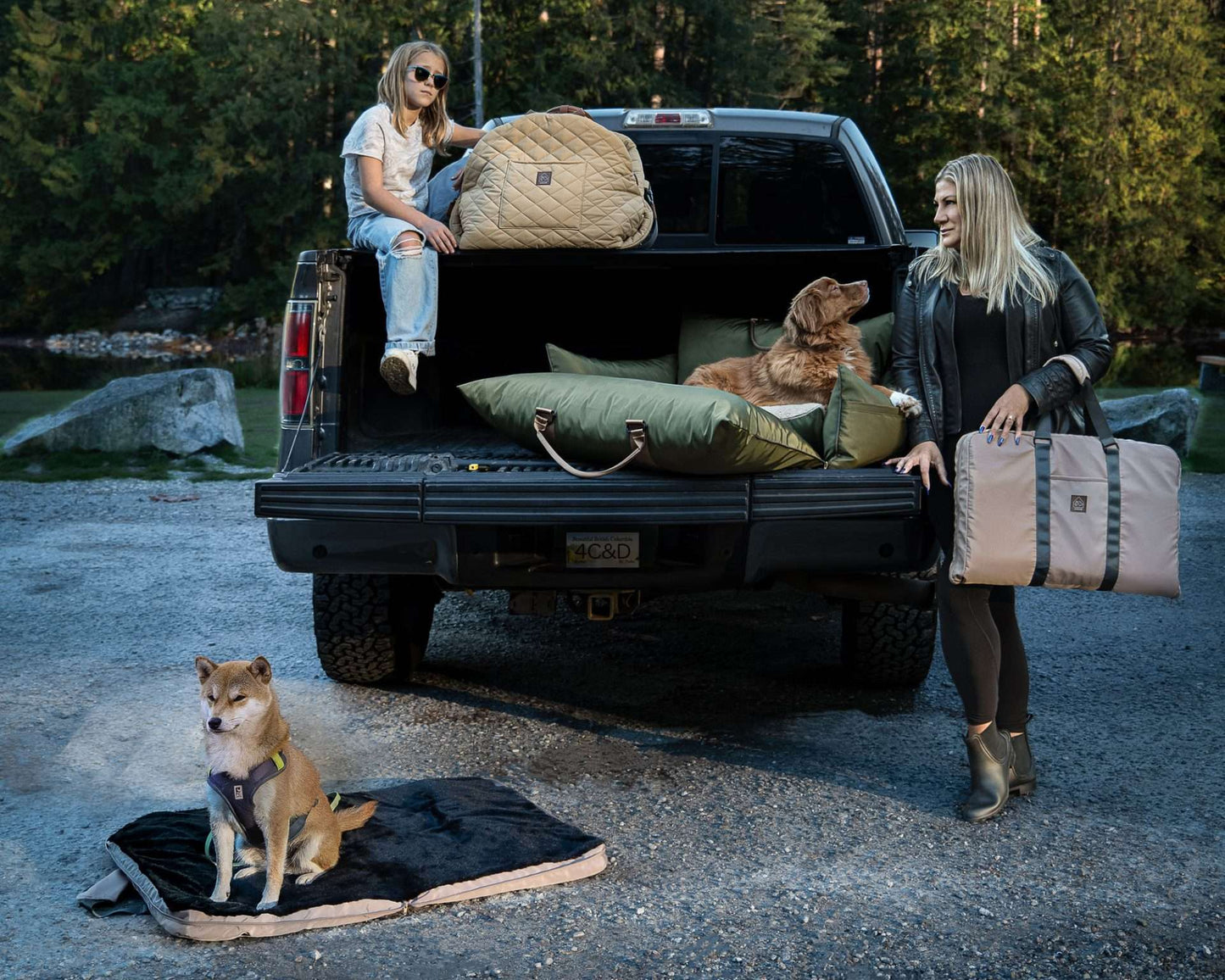 Gus Folding Pet Bed