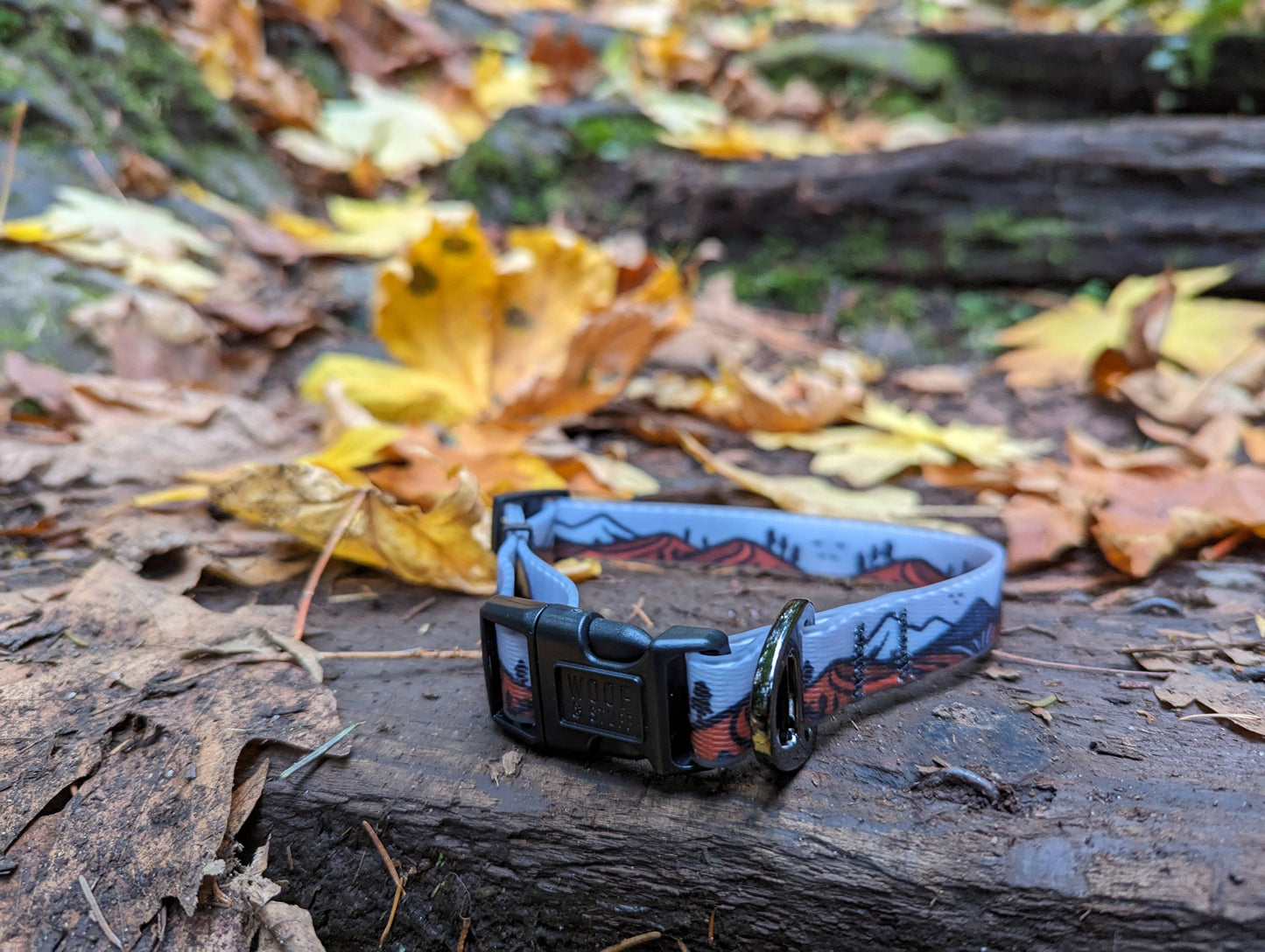 Wanderlust Waterproof Collar
