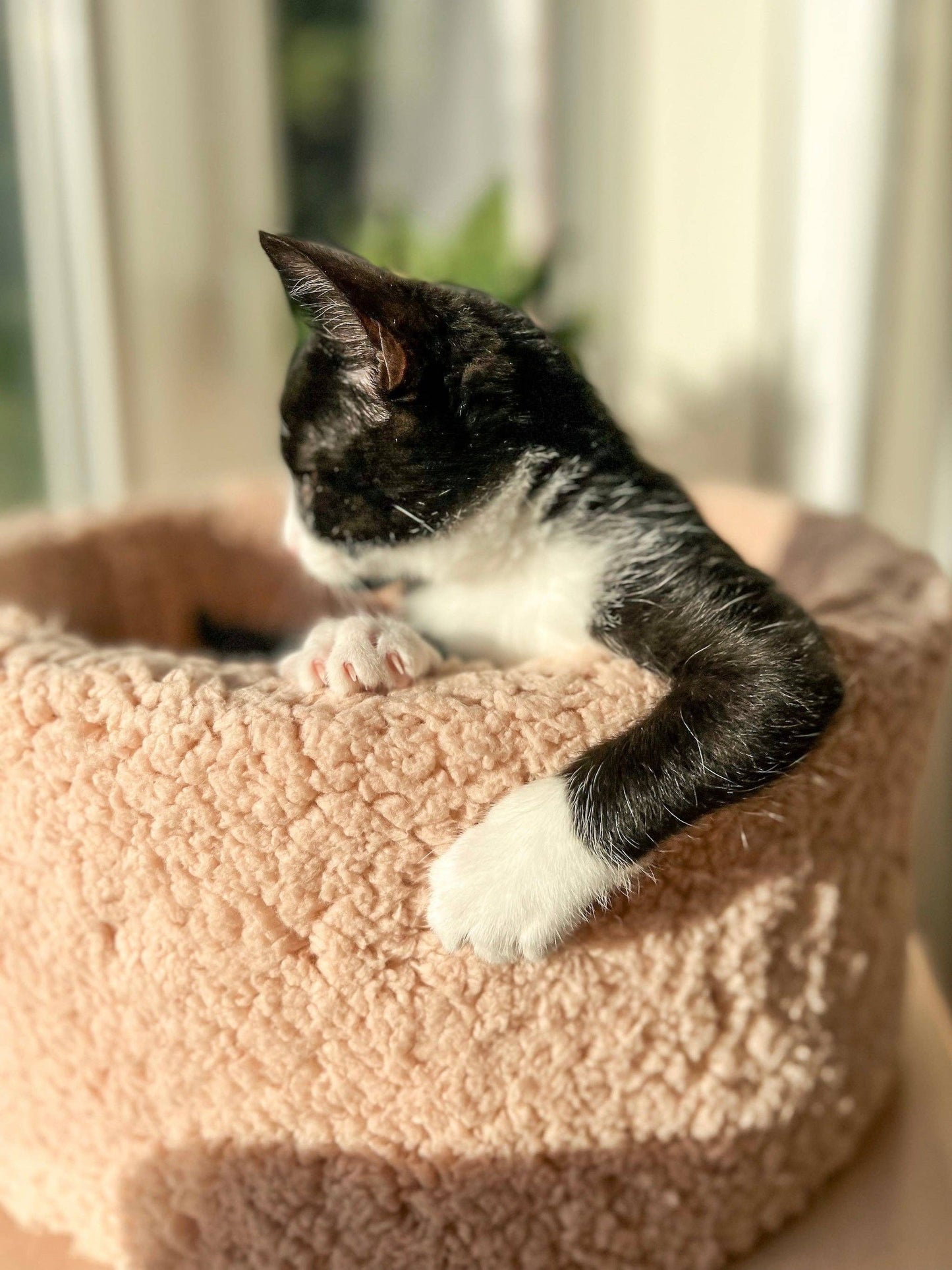 Extra soft Sherpa Bed - Small dogs and Cats
