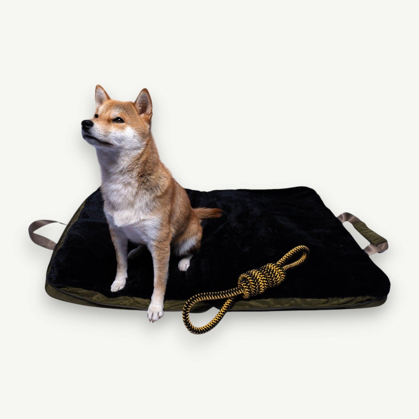 Gus Folding Pet Bed