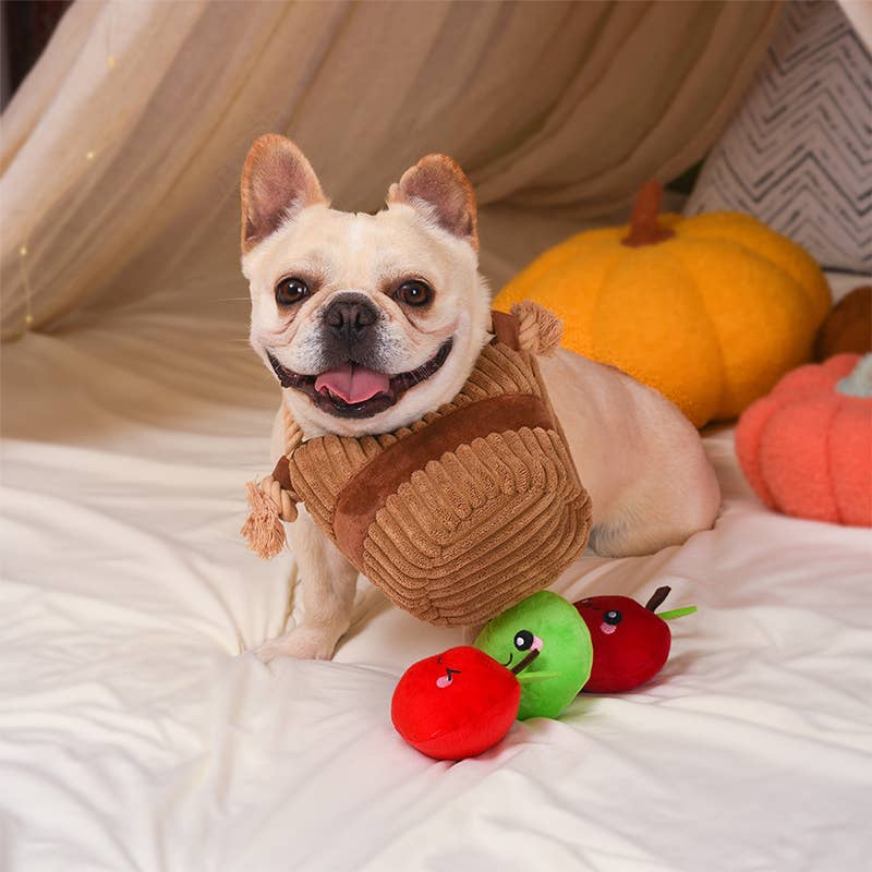 HugSmart Pet - Autumn Tailz | Apple Basket -Interactive Toy