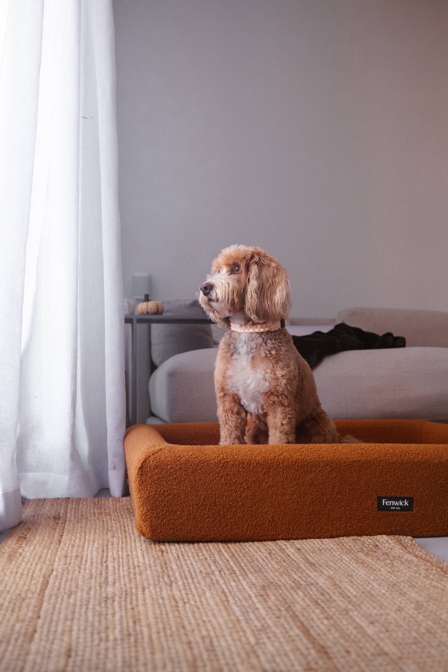 Teddy Dog Bed: Brown / S/M