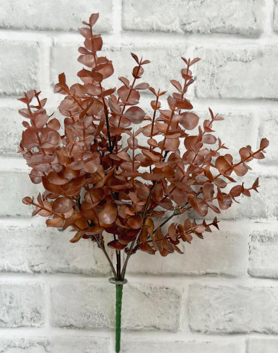 Fall Eucalyptus Bush