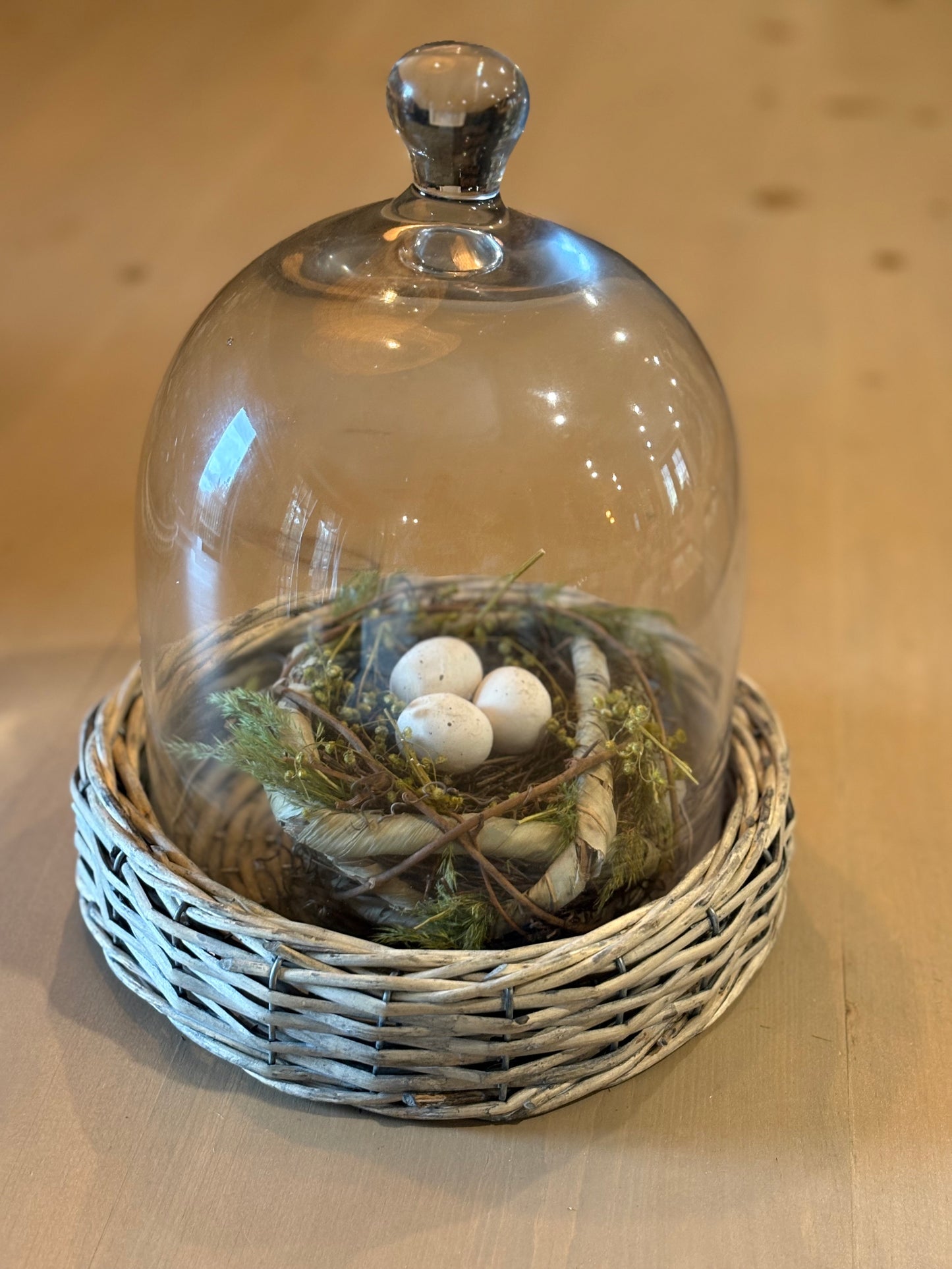 Birds Nest with Eggs