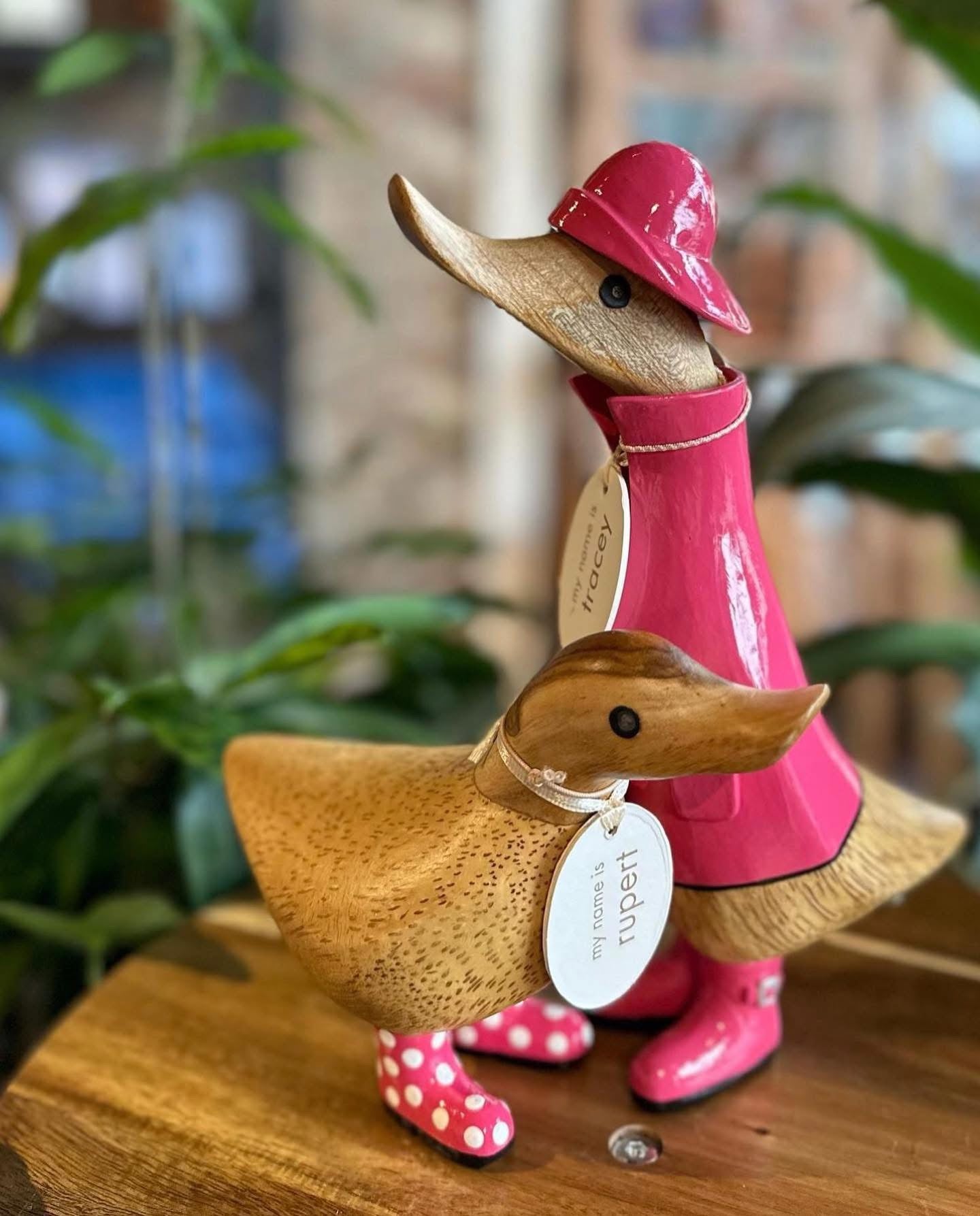 Carved Hand Painted Adorable Rain Coat Ducks
