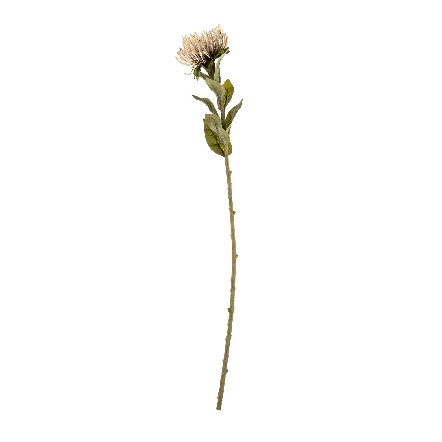 Pin Cushion Floral Stem
