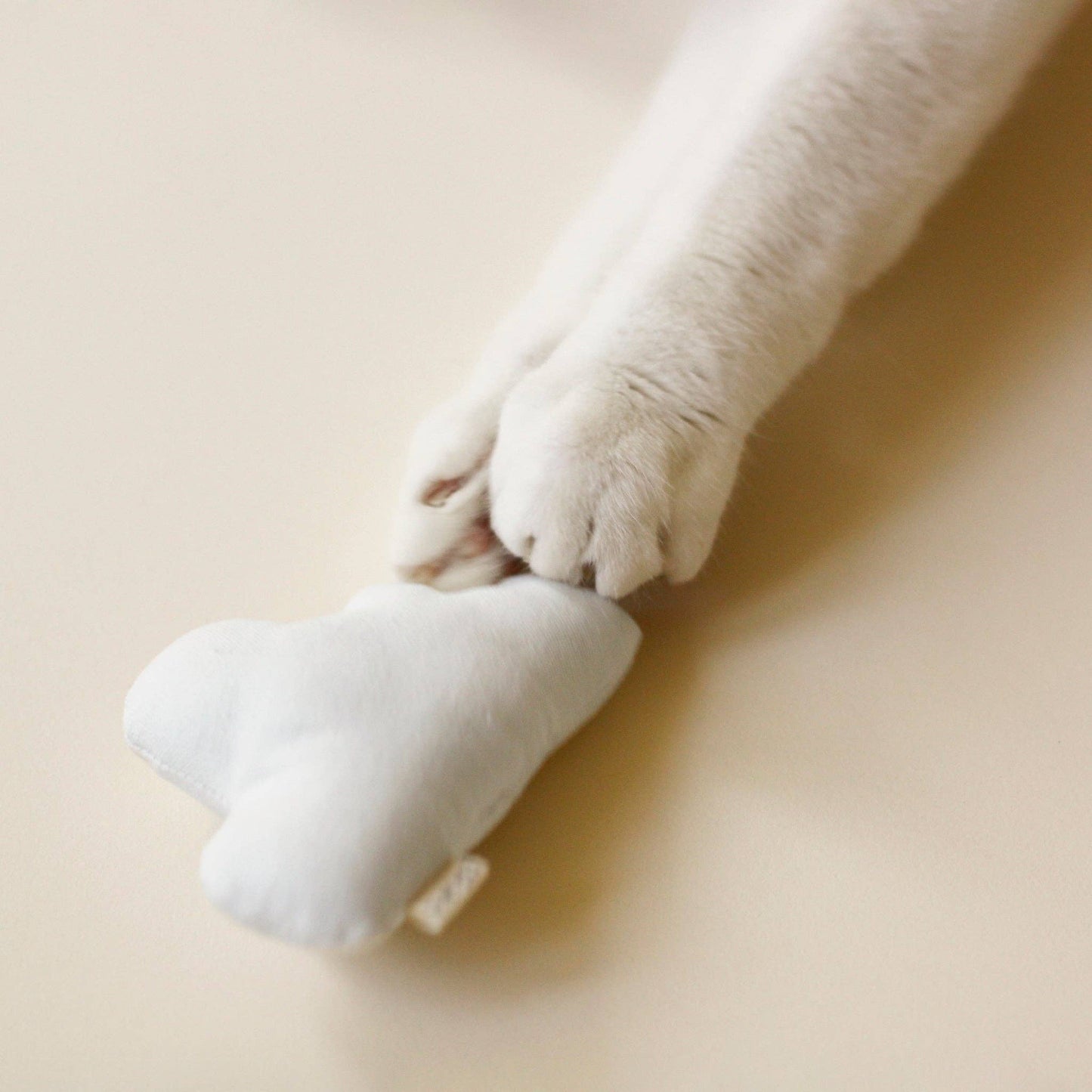 Cat Toy Bundle - Indoor Fishing