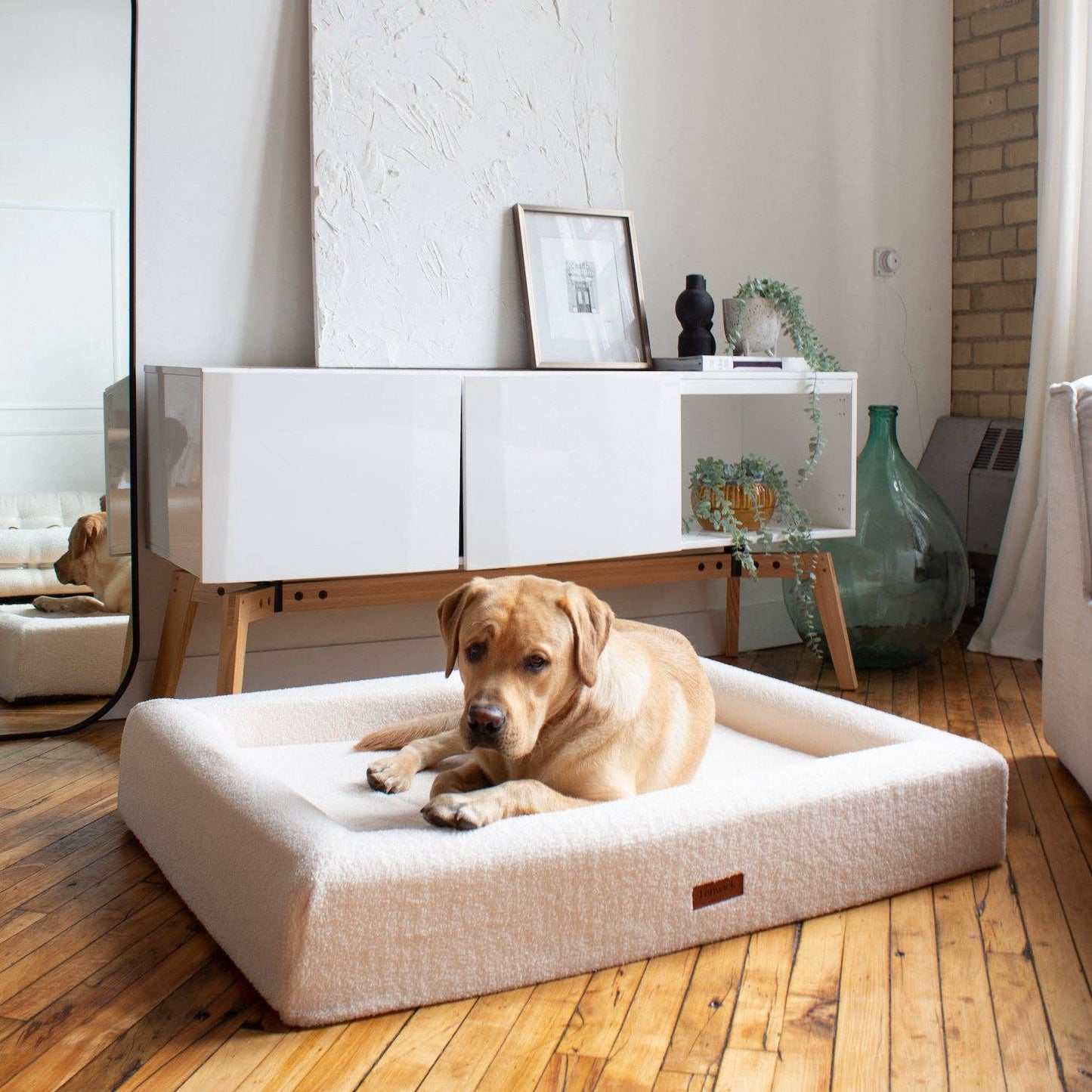 Teddy Dog Bed: Brown / L