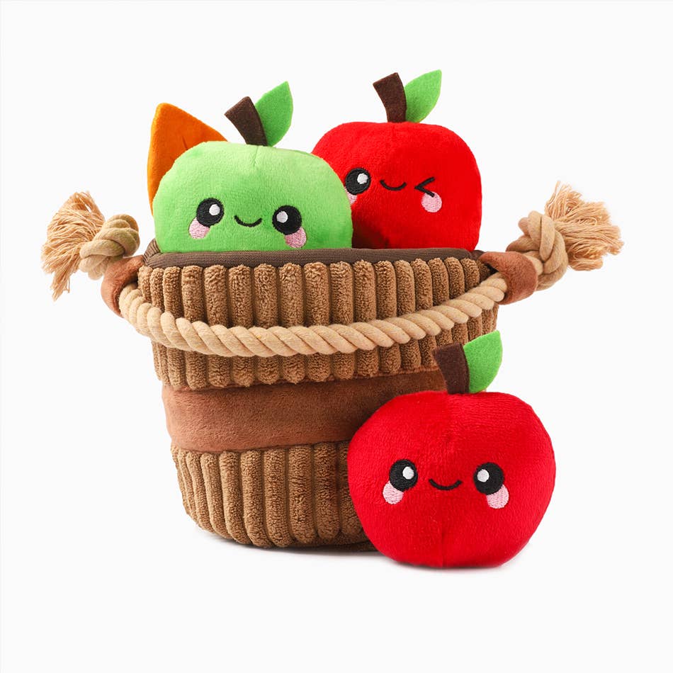 HugSmart Pet - Autumn Tailz | Apple Basket -Interactive Toy