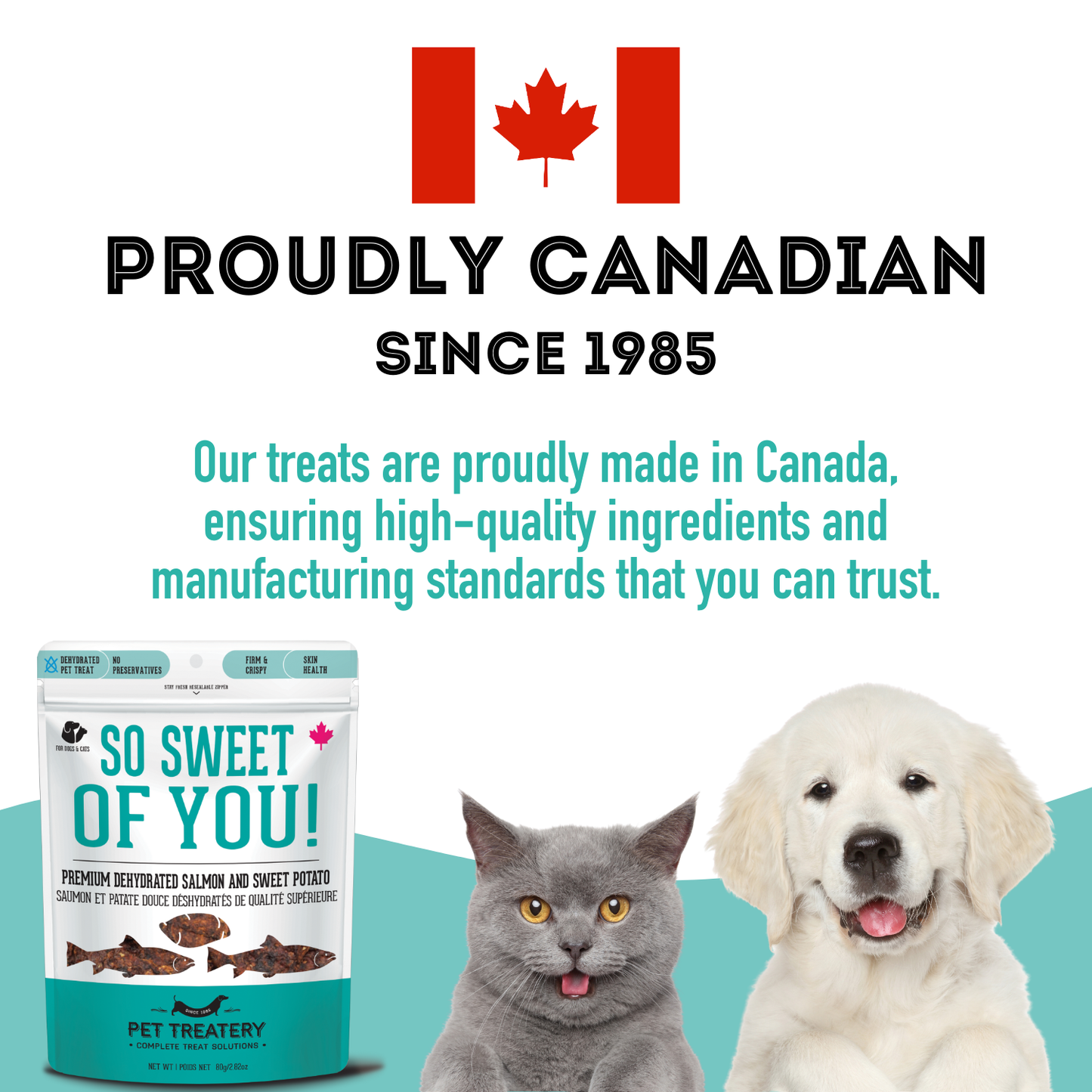 Salmon & Sweet Potato Dehydrated Pet Treats: Omega-3