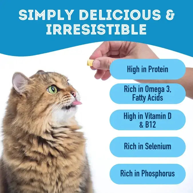Cod Skin Dehydrated Pet Treats: High-Protein & Low-Calorie