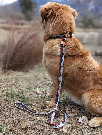 Wanderlust Leash