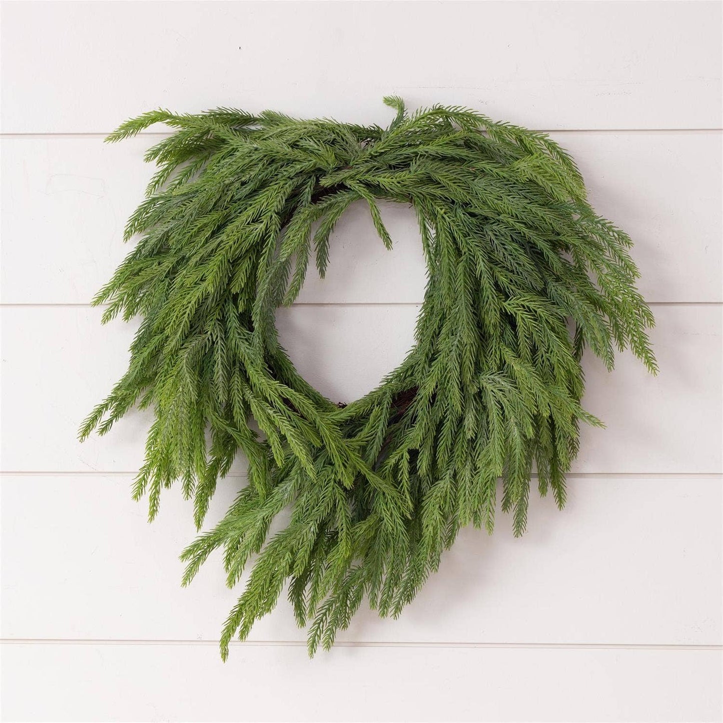 Wreath - Real Touch Norfolk Pine
