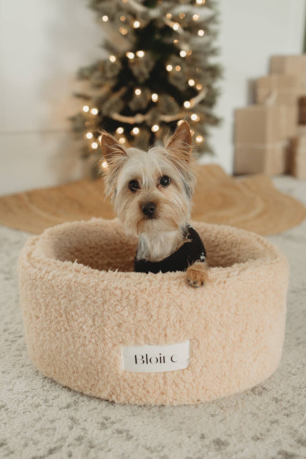Extra soft Sherpa Bed - Small dogs and Cats