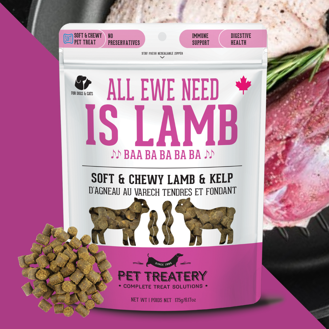 Lamb & Kelp Soft Dog Treats: Chewy & All-Natural