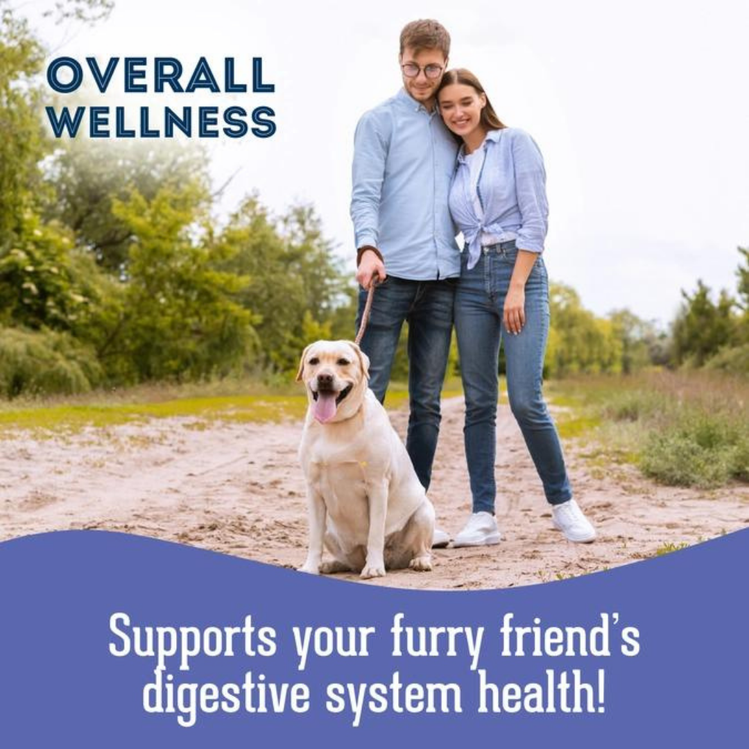 Dog supplements- Digestion Supplement  Herbal Bites