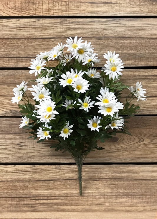 24" White Farmhouse Daisy Bush