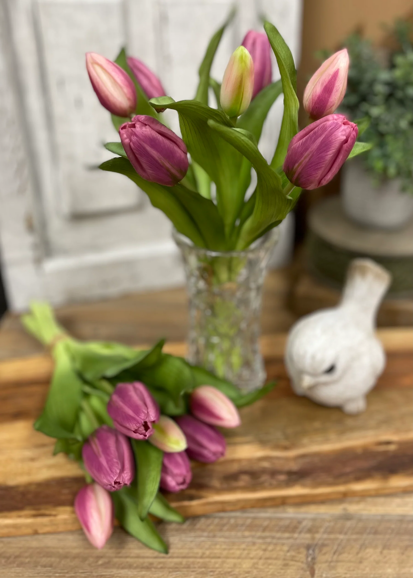 12" Fresh Touch Plum Formosa Tulip Bundle
