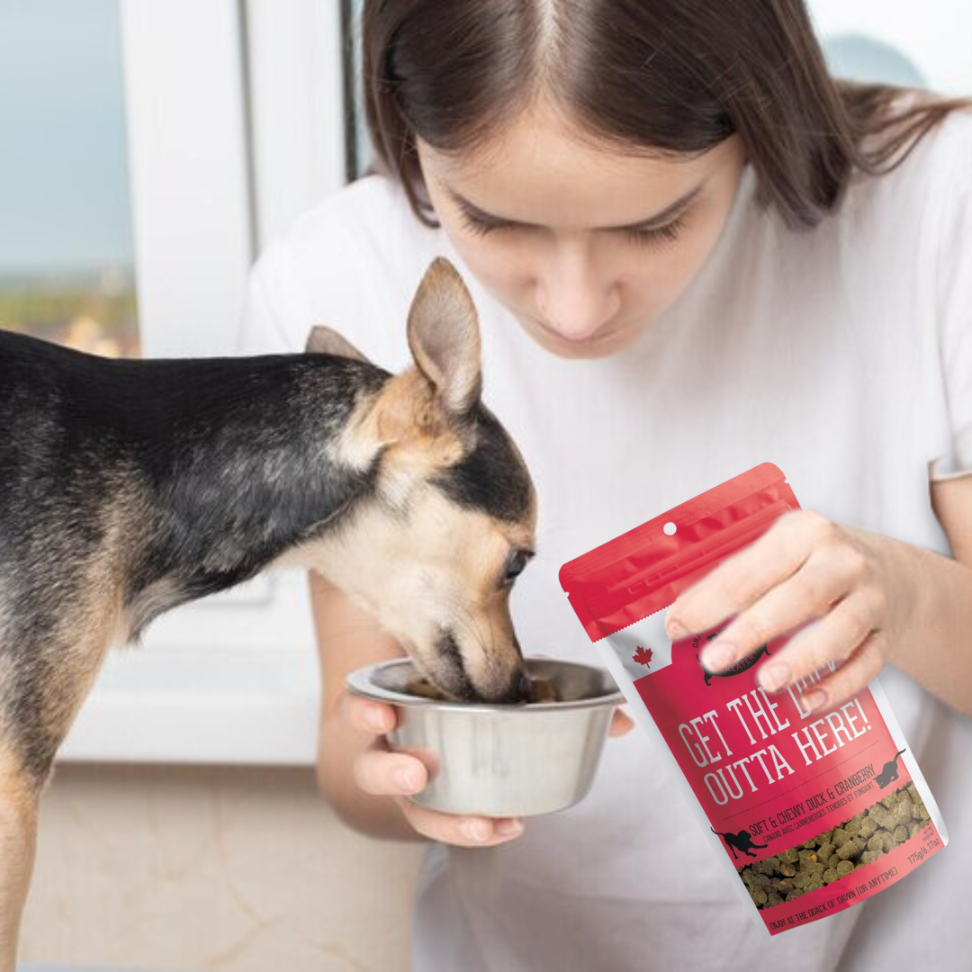 Duck & Cranberry Soft Dog Treats: Chewy & All-Natural