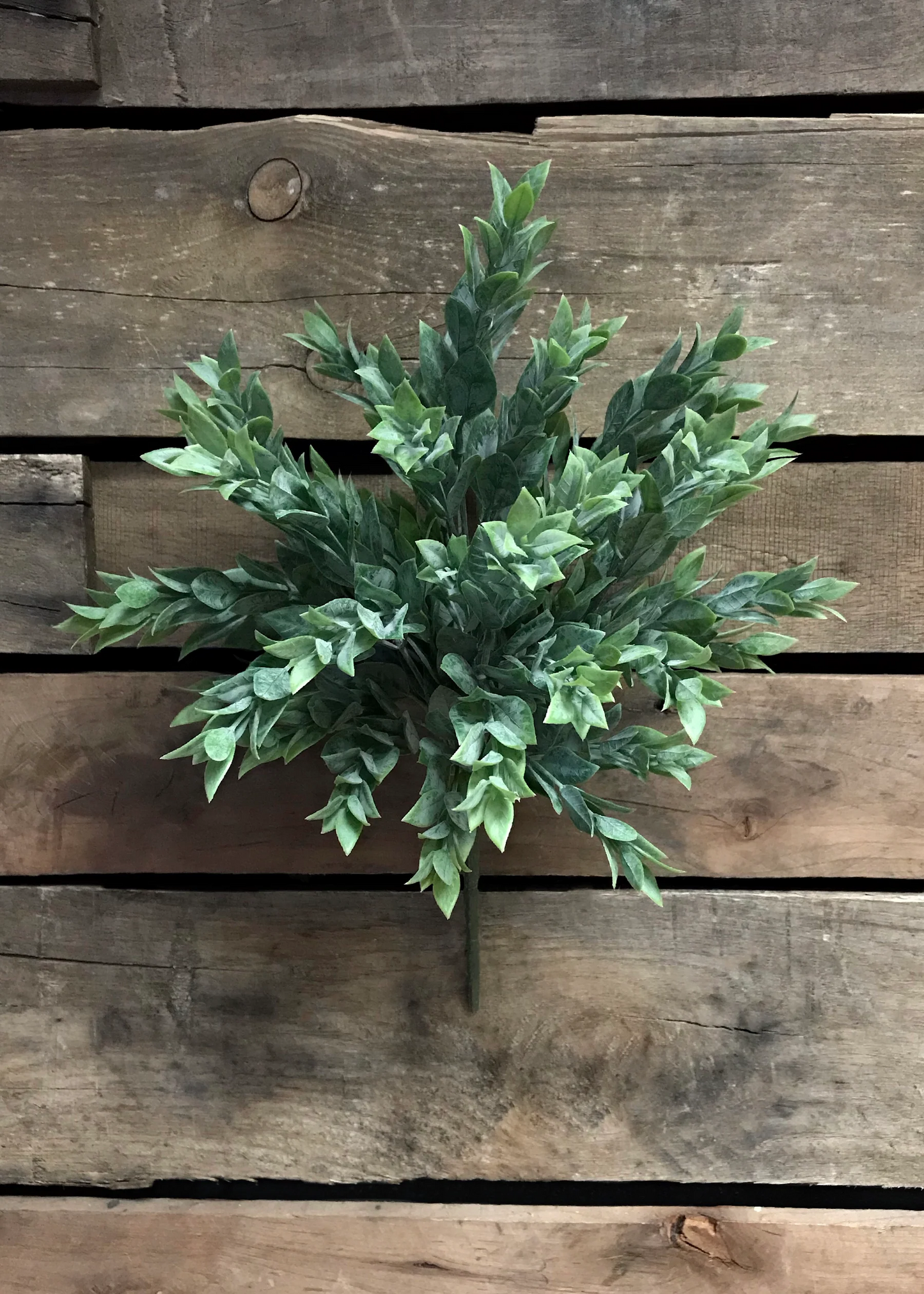 15" Ruscus Leaves Bush