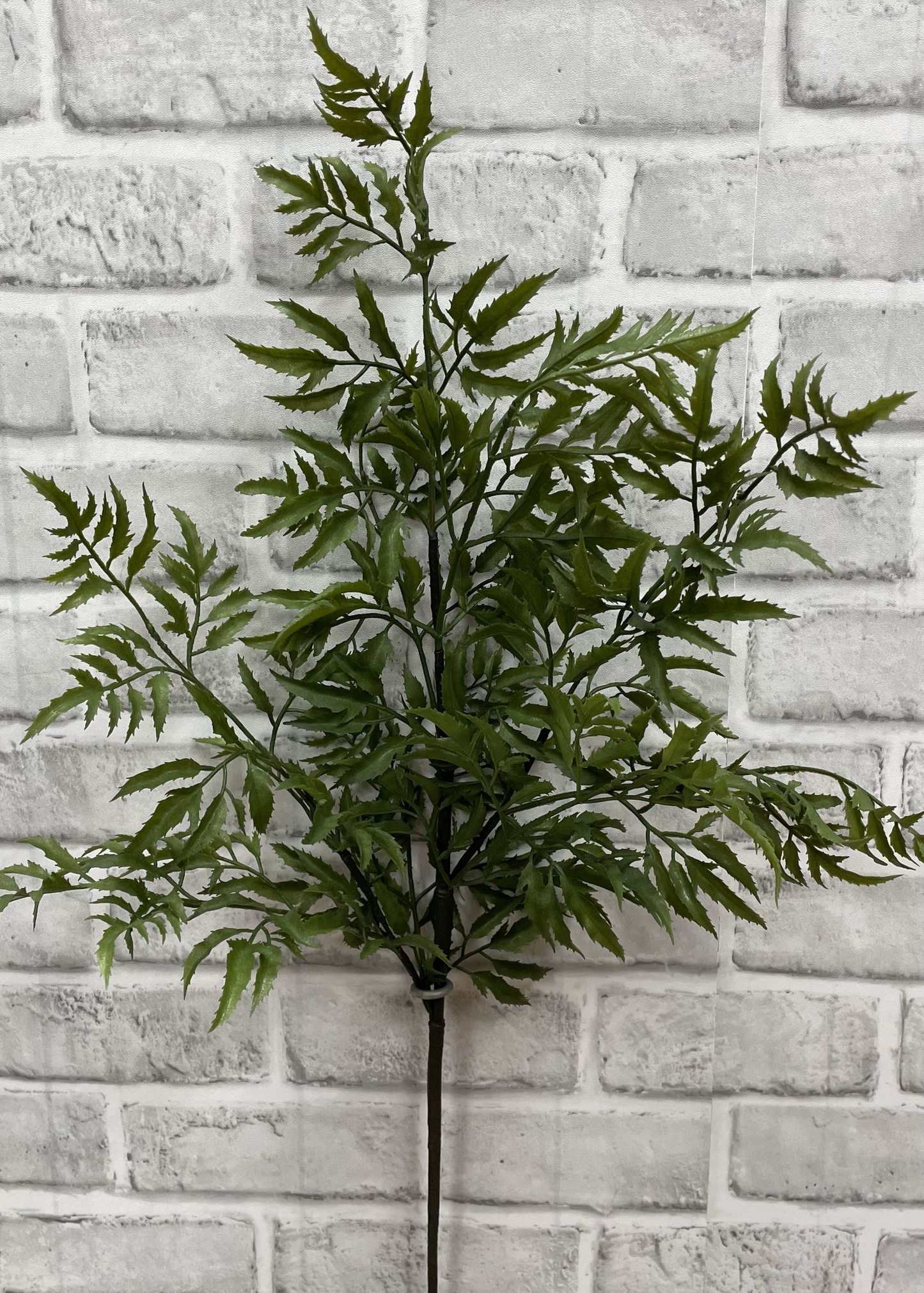 33" Fresh Touch Ming Aralta Spray