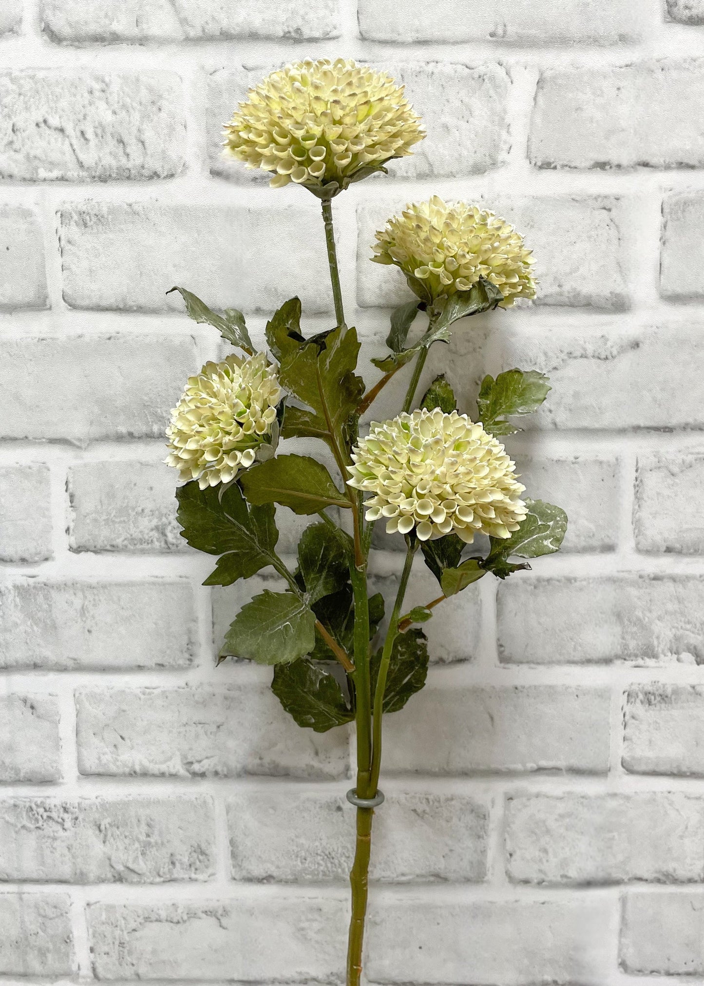 Cream Scabiousa Spray 26"