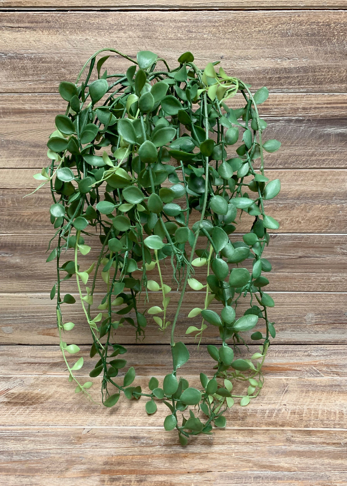 30" Button Leaf Hanging Bush