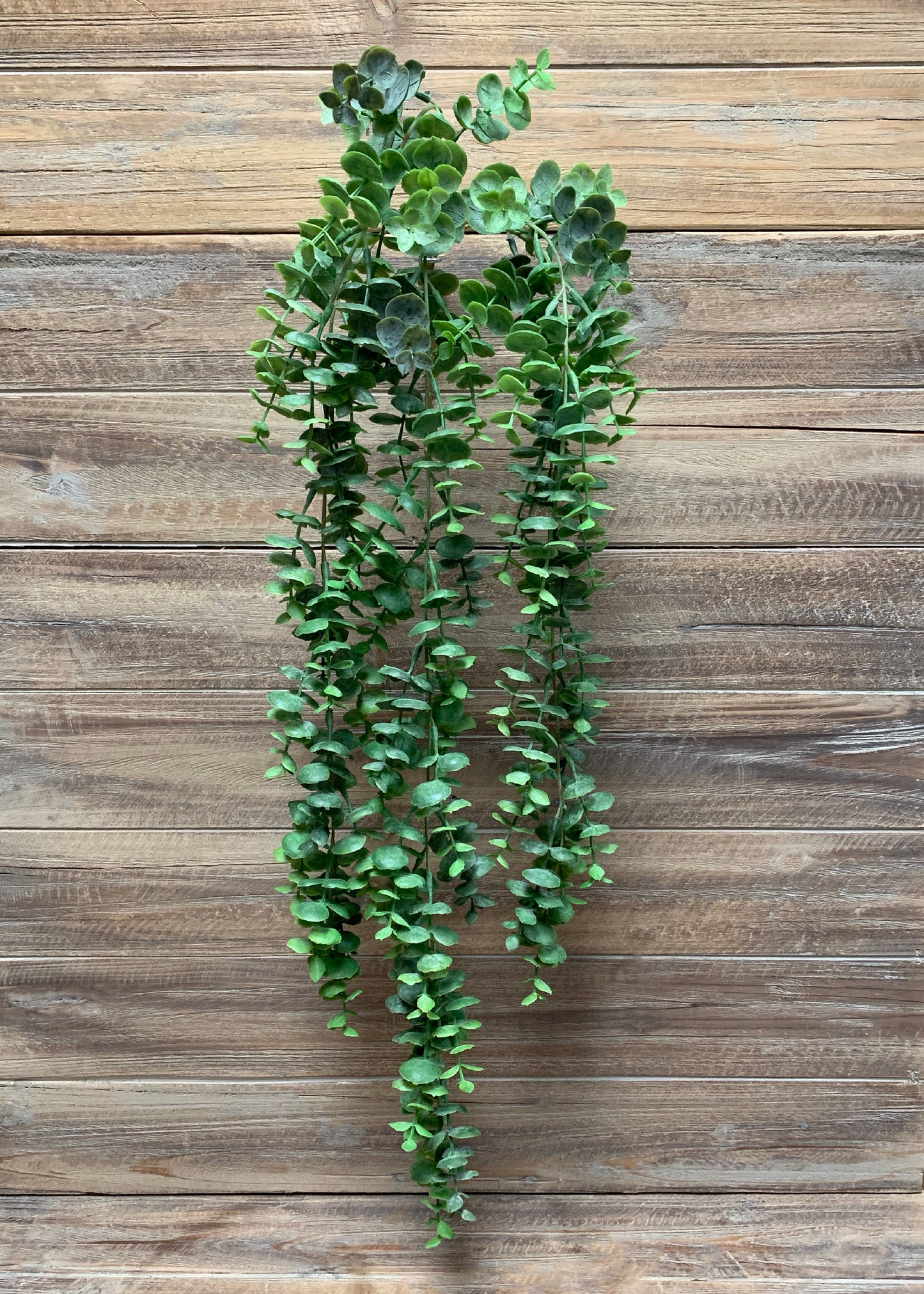 31" Eucalyptus Vine
