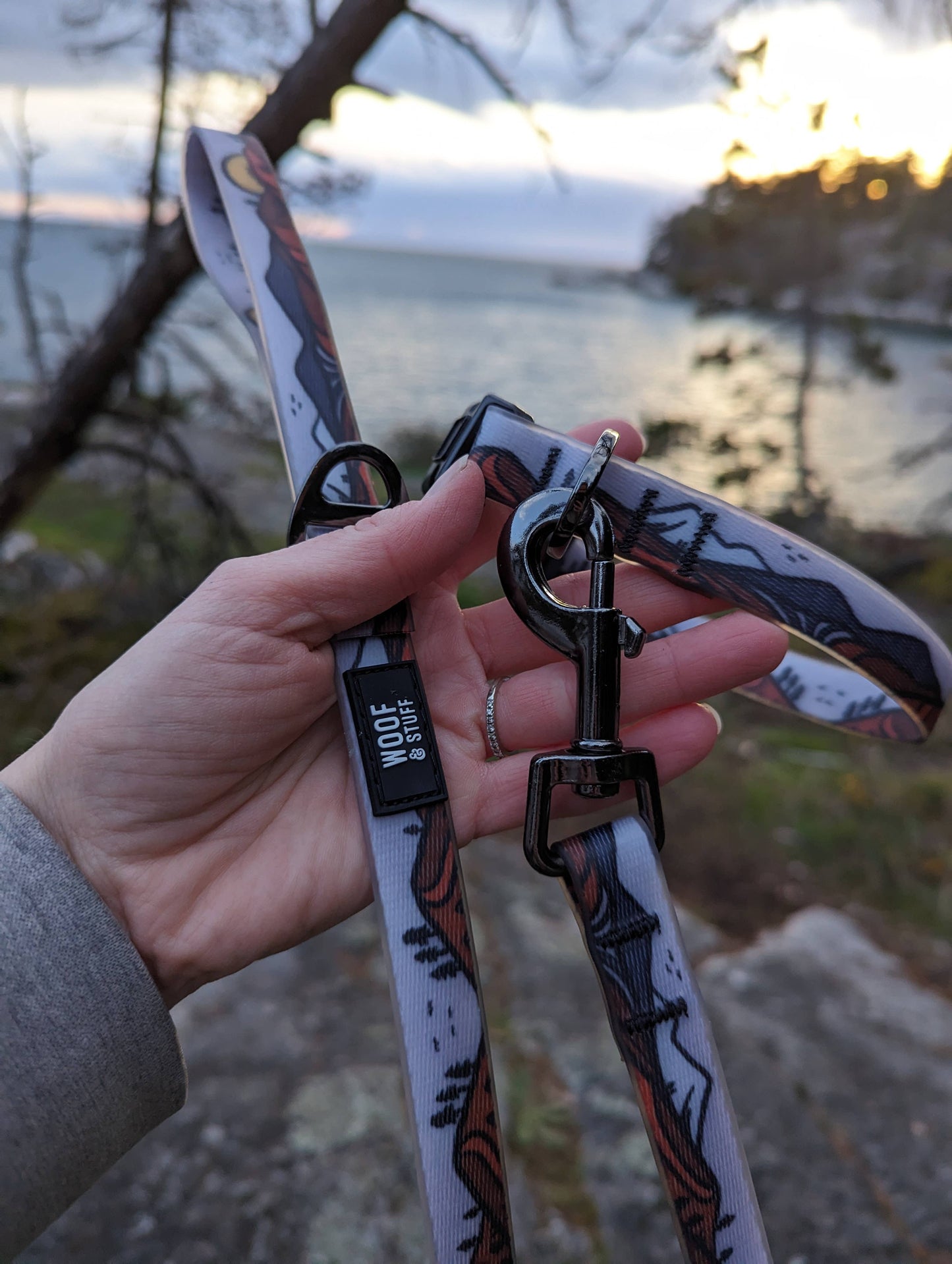 Wanderlust Waterproof Collar