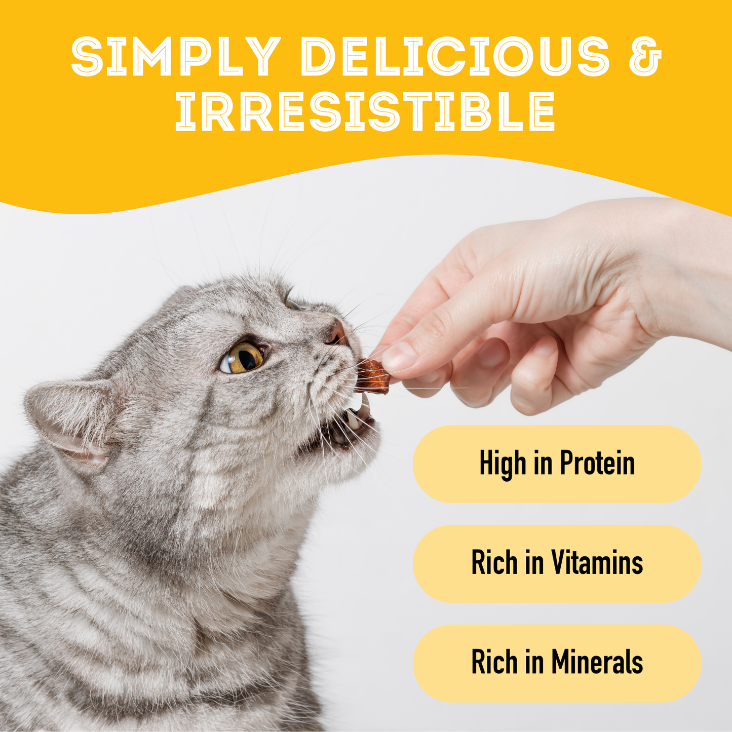 Venison Dehydrated Pet Treat for dogs 80g