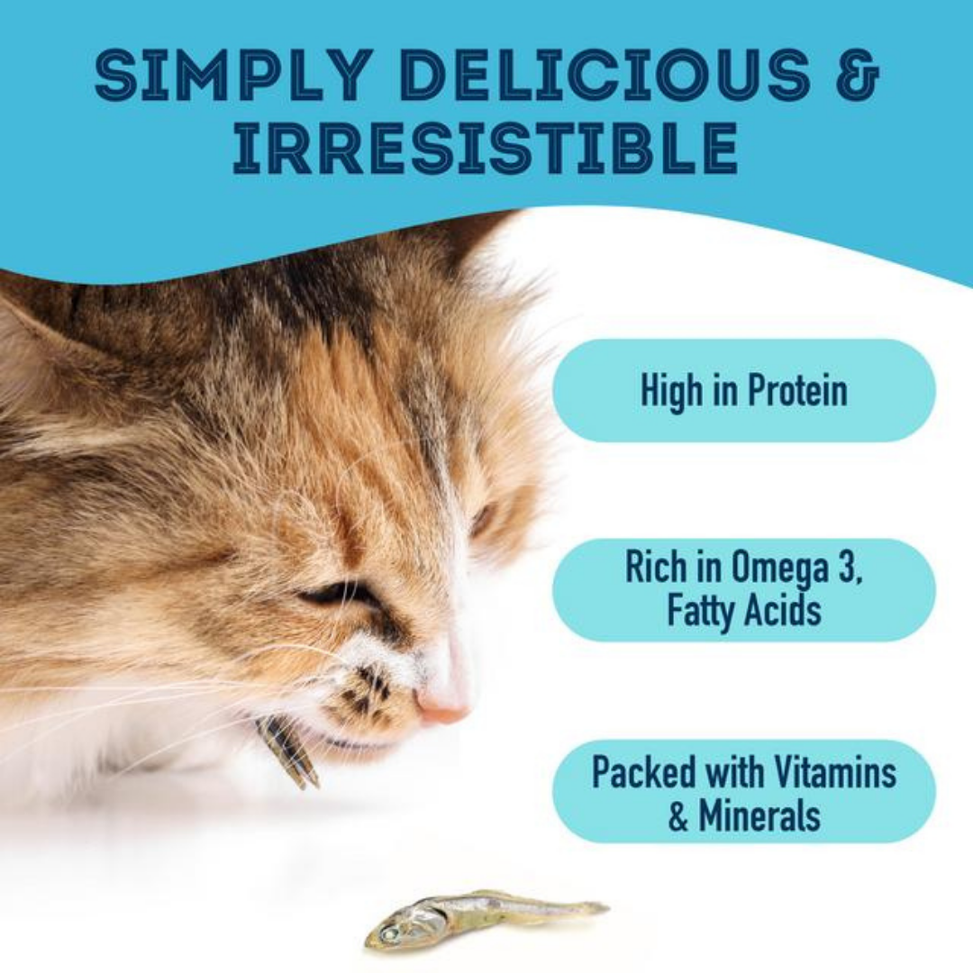 Sardines Dehydrated Pet Treats: High-Protein & Natural 90g