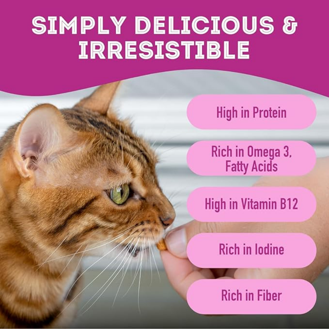 Lamb & Kelp Soft Dog Treats: Chewy & All-Natural