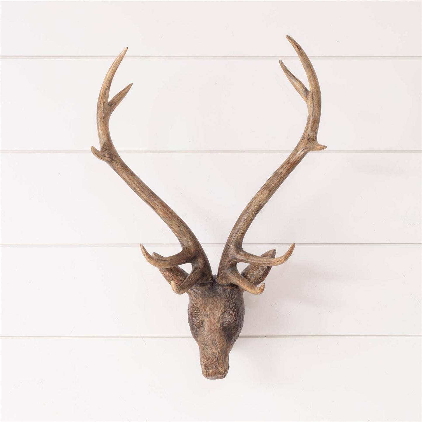 Deer Head - Wall Mount