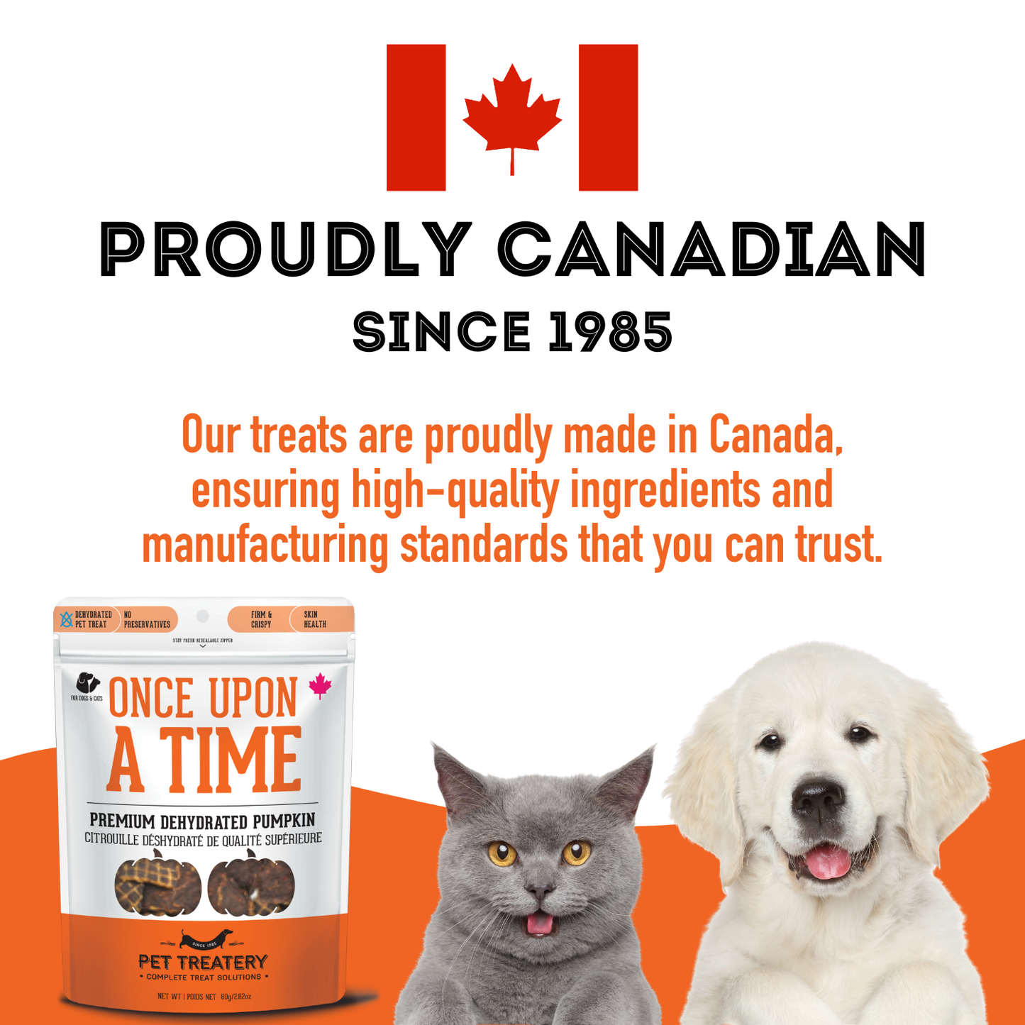 Pumpkin Dehydrated Pet Treat for Dogs & Cats Vegan 80g