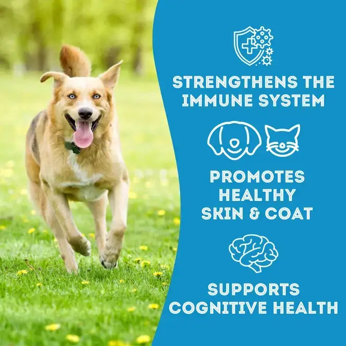 Cod Skin Dehydrated Pet Treats: High-Protein & Low-Calorie