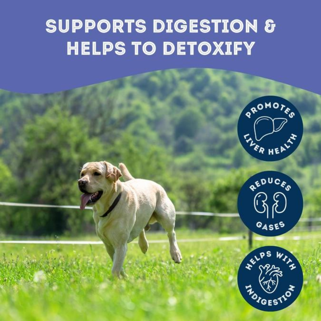 Dog supplements- Digestion Supplement  Herbal Bites