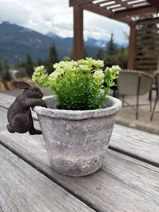Rustic Small Pot with Faux Plant and Bunny Hanger
