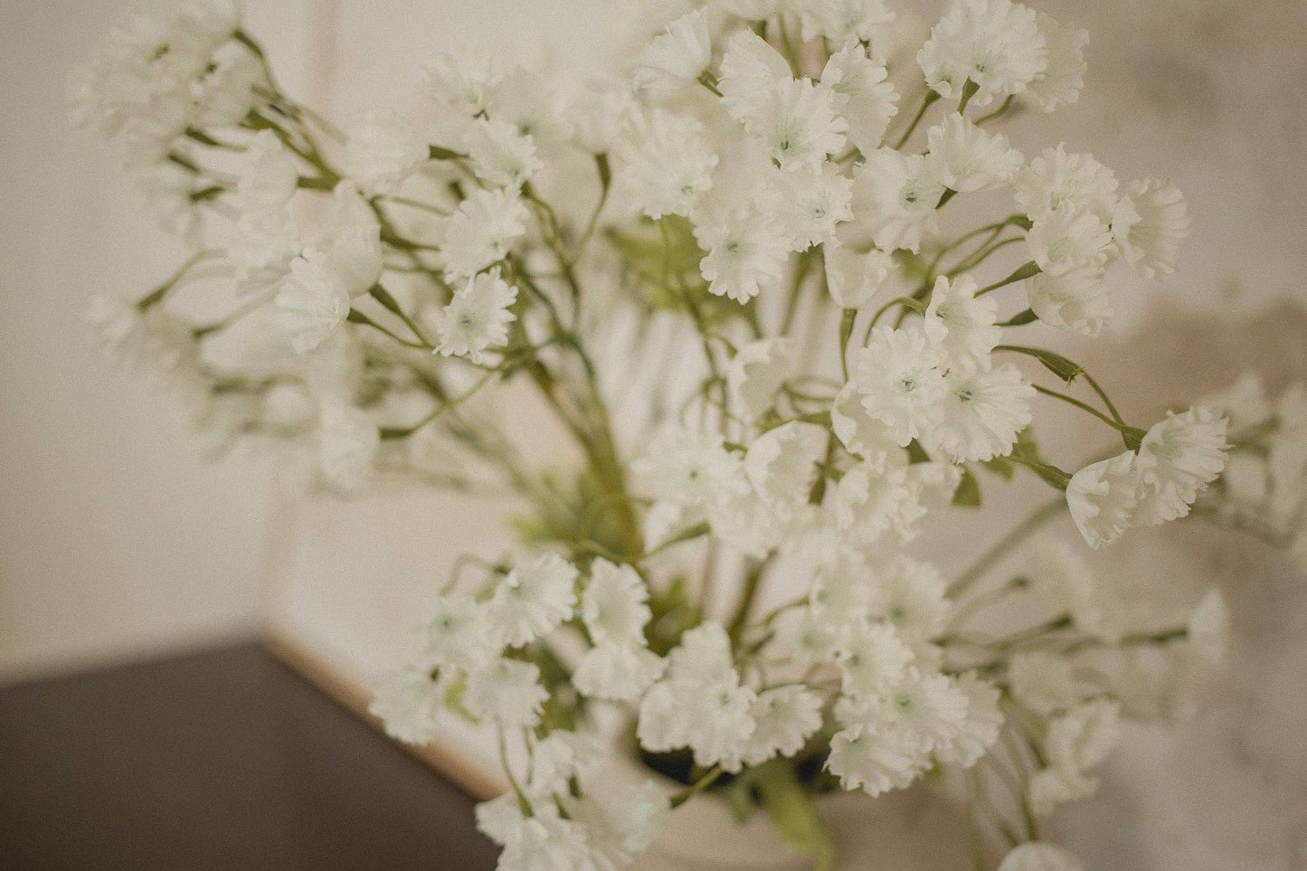 Gypsophila Elegan - Babies breath