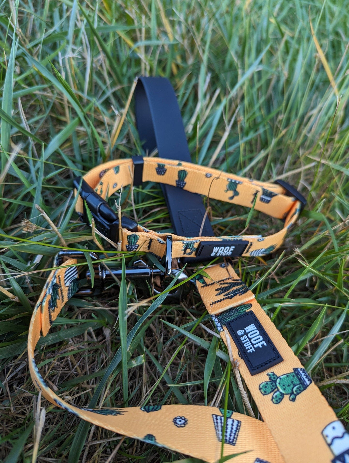 Cactus Collar