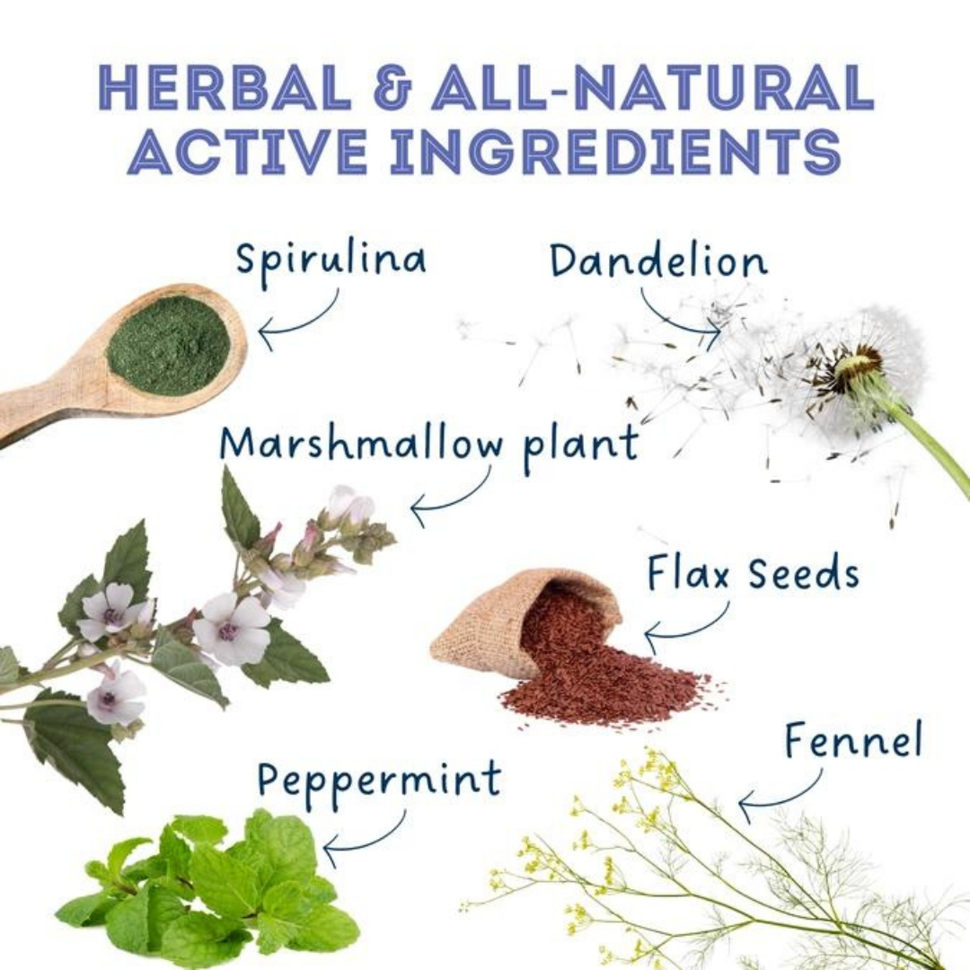 Dog supplements- Digestion Supplement  Herbal Bites