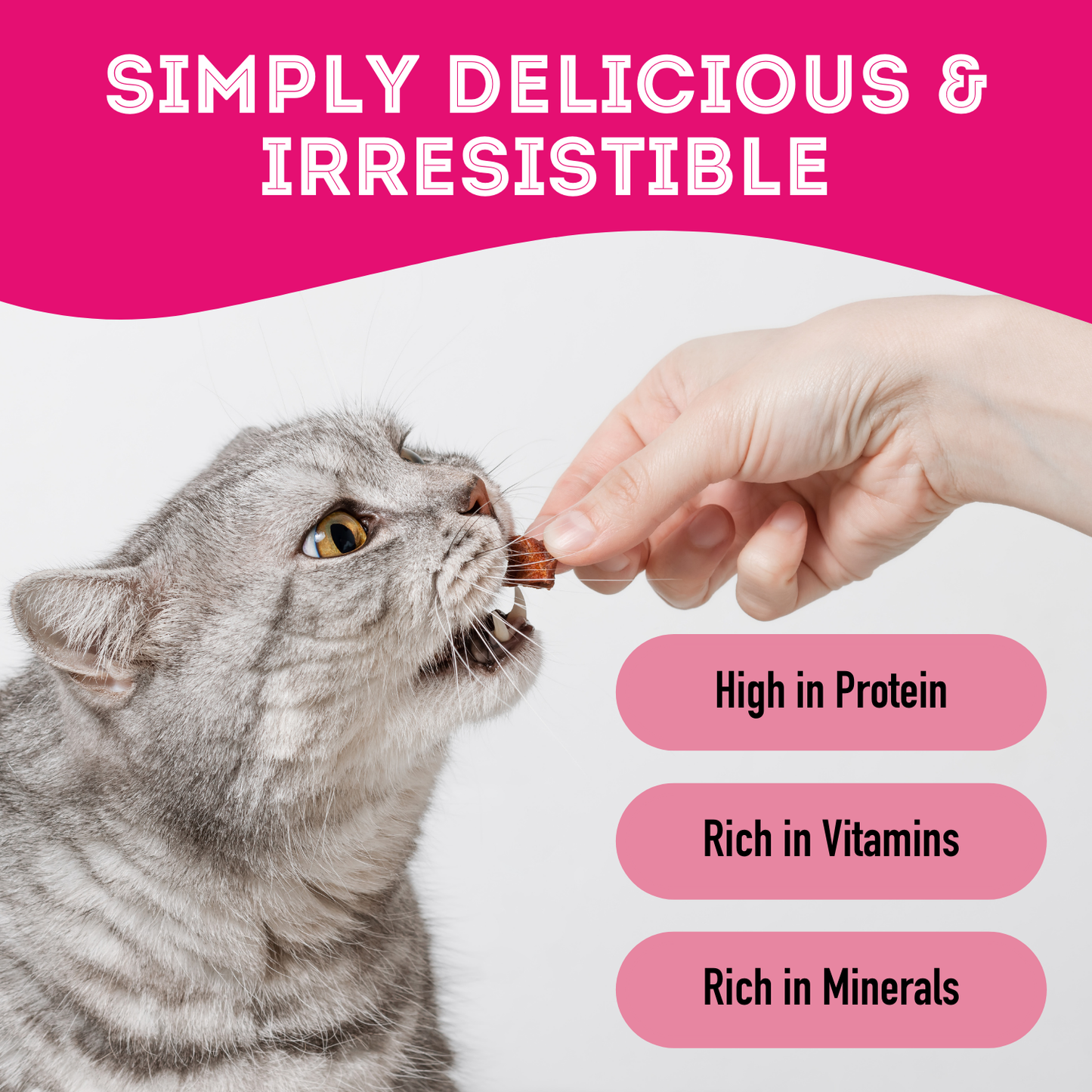 Turkey Heart - Premium Dehydrated Pet Treat  High Protein