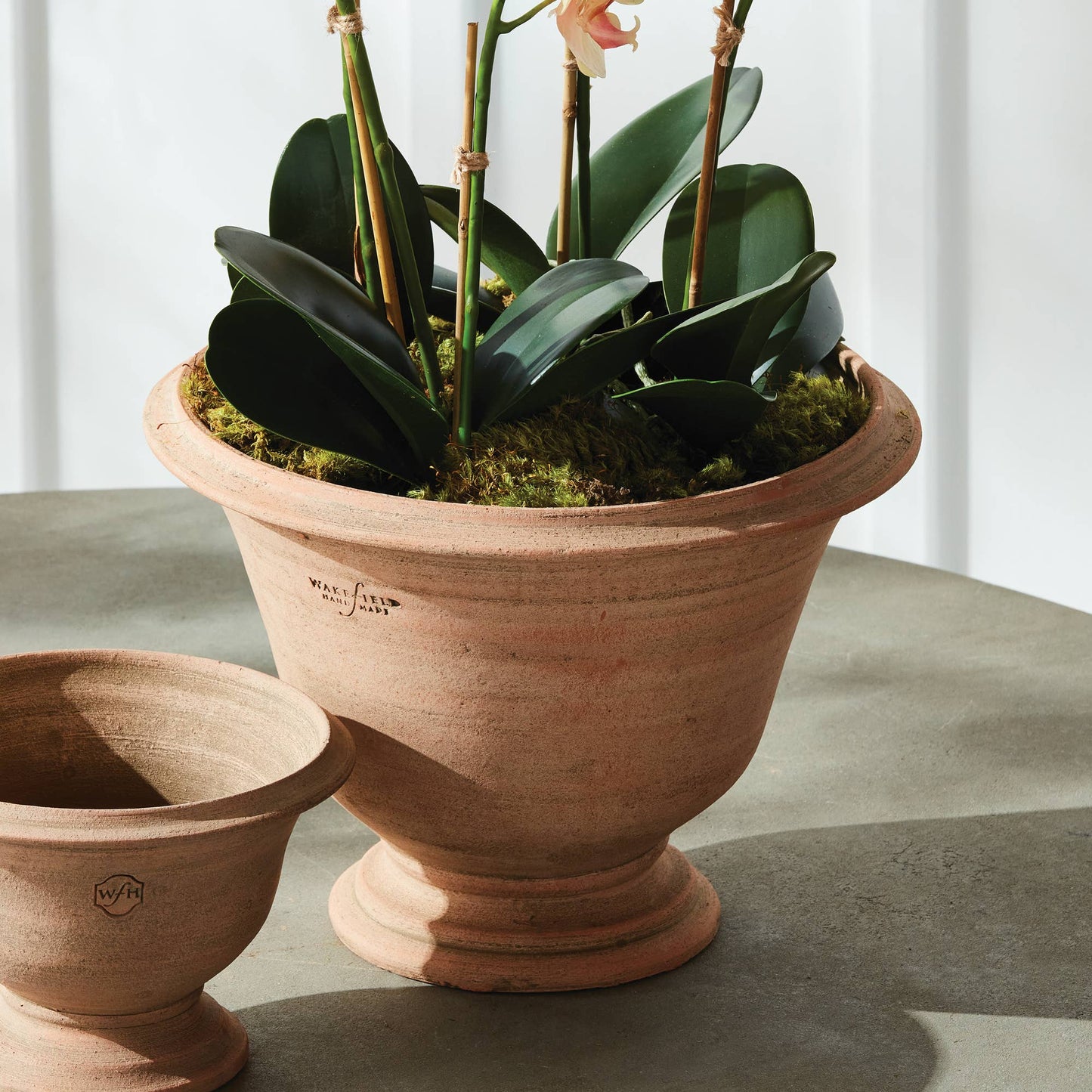 Wakefield Handmade Aston Pot #12, Tan