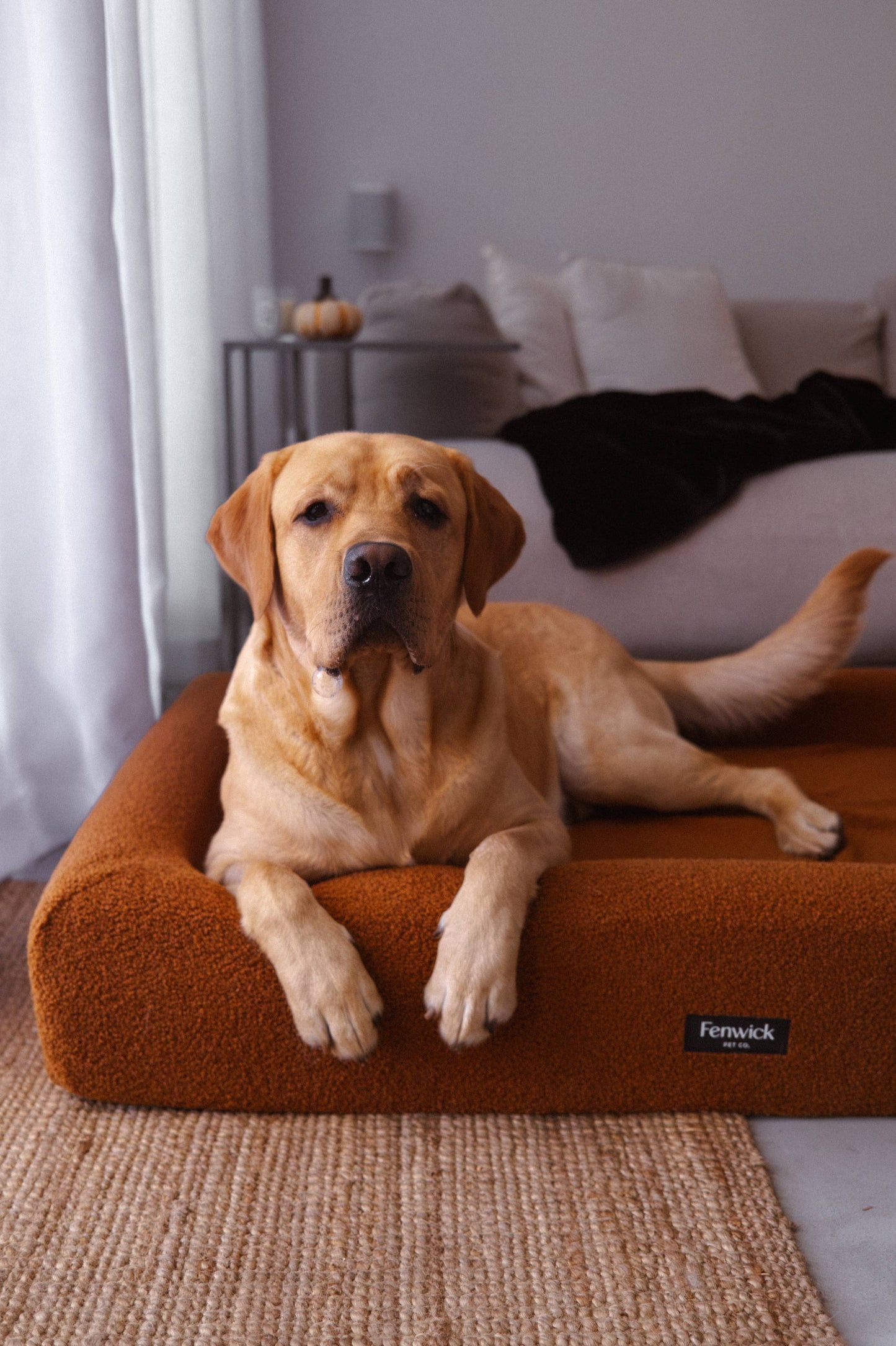 Teddy Dog Bed: Brown / S/M
