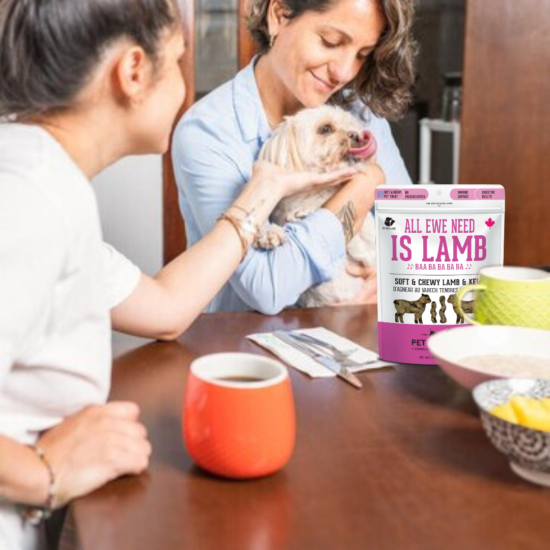 Lamb & Kelp Soft Dog Treats: Chewy & All-Natural
